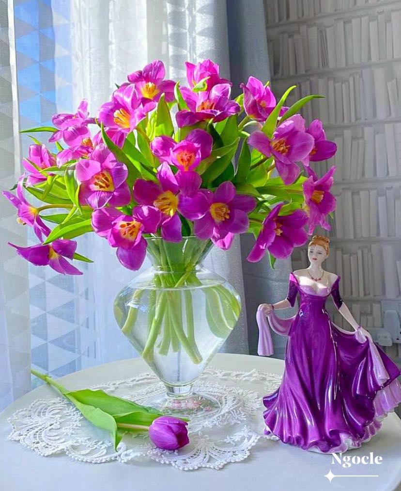 Tử vi ngày 28/5/2022 của 12 cung hoàng đạo